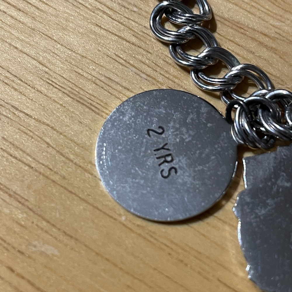 Vintage Source Unknown Silver Charm Bracelet - image 6